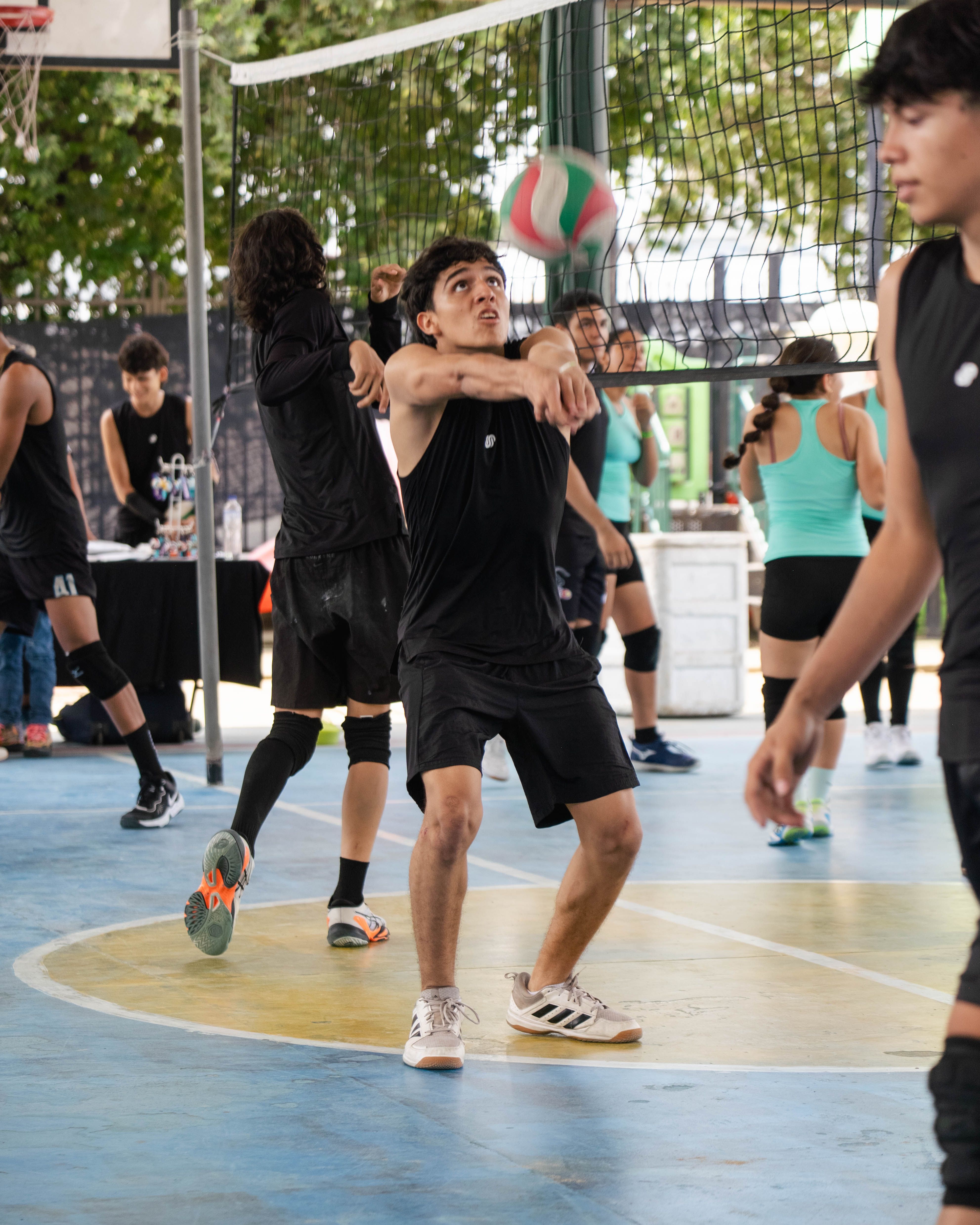 /uploads/DSC_2562_aa4d328e2d.jpg