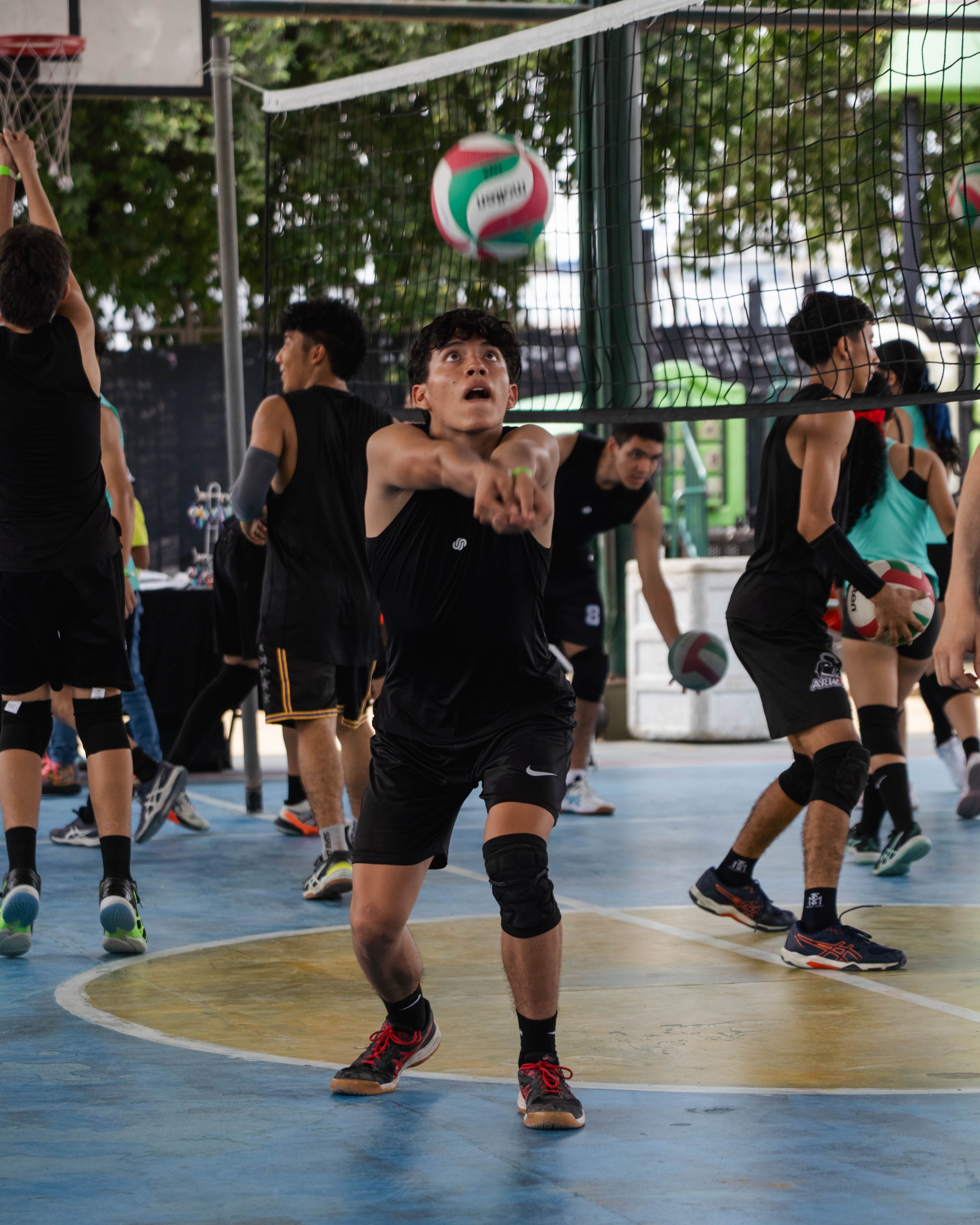 /uploads/DSC_2572_4c7d61c4ad.jpg